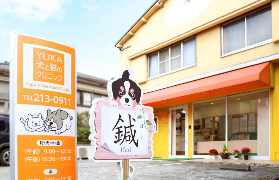 Yuka犬と猫のクリニック