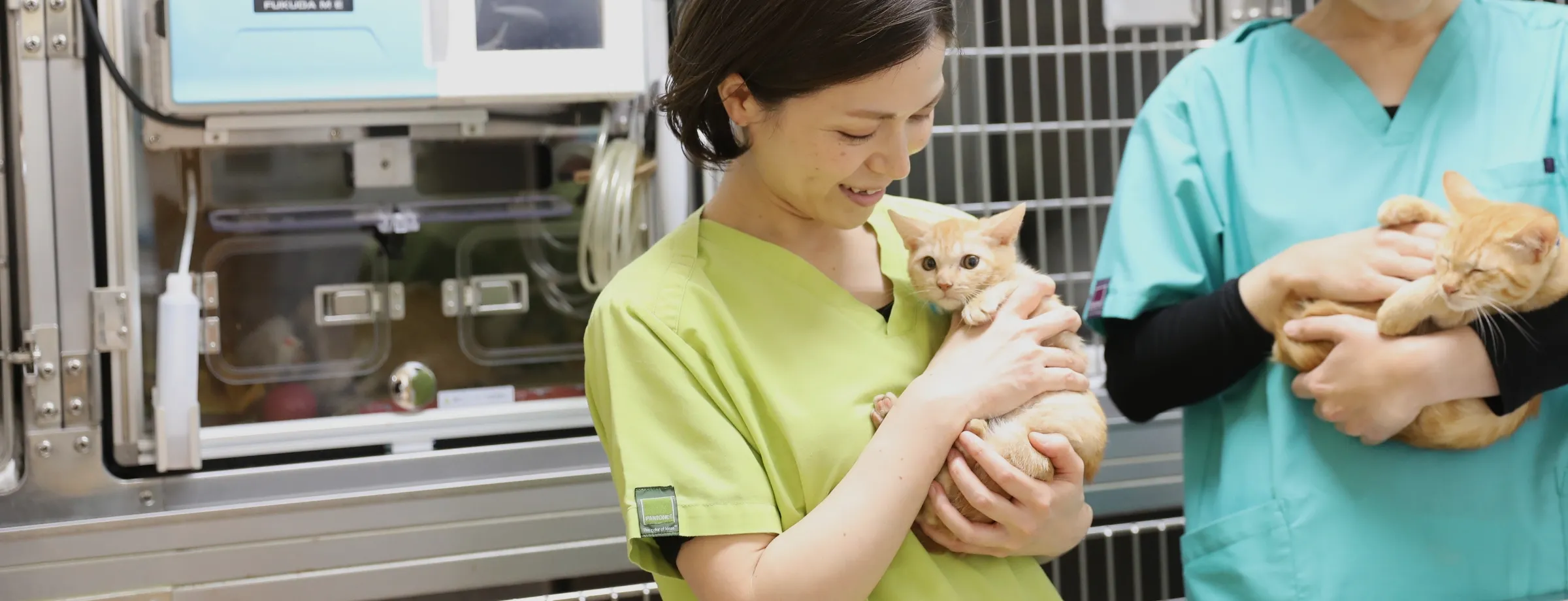 診療内容